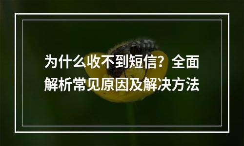 为什么收不到短信？全面解析常见原因及解决方法