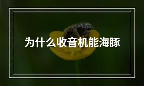 为什么收音机能海豚