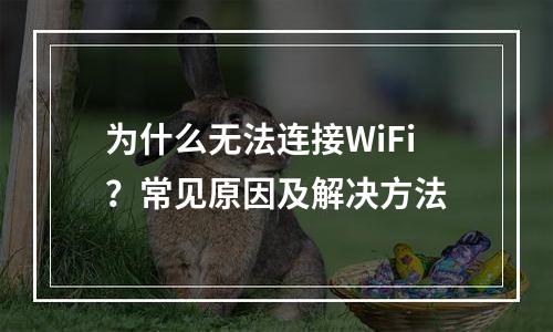 为什么无法连接WiFi？常见原因及解决方法