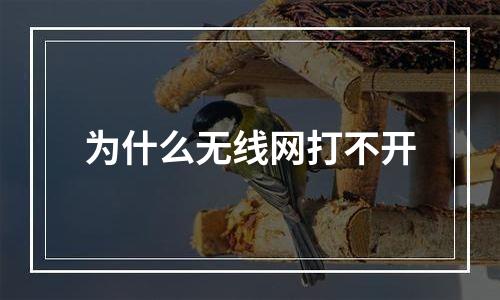 为什么无线网打不开