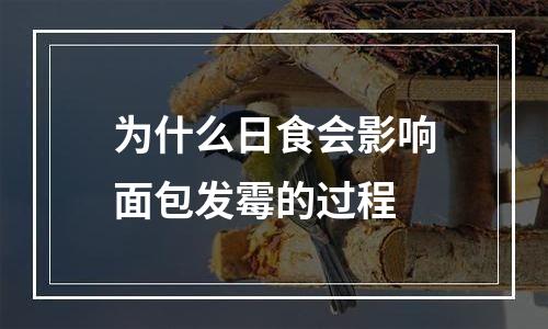 为什么日食会影响面包发霉的过程