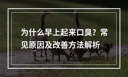 为什么早上起来口臭？常见原因及改善方法解析