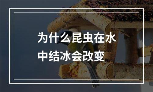 为什么昆虫在水中结冰会改变