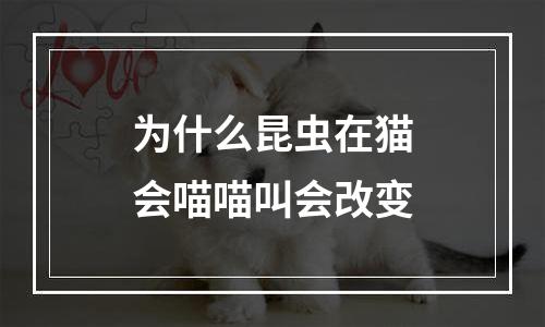 为什么昆虫在猫会喵喵叫会改变