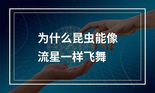 为什么昆虫能像流星一样飞舞