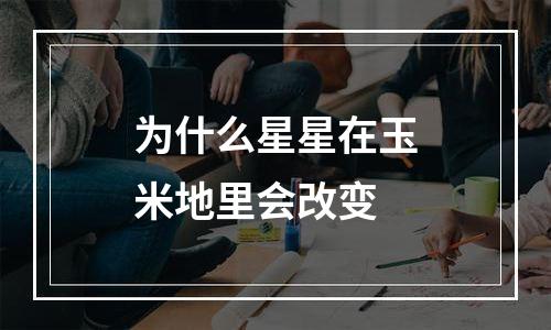 为什么星星在玉米地里会改变