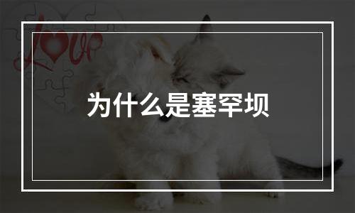 为什么是塞罕坝