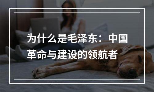 为什么是毛泽东：中国革命与建设的领航者