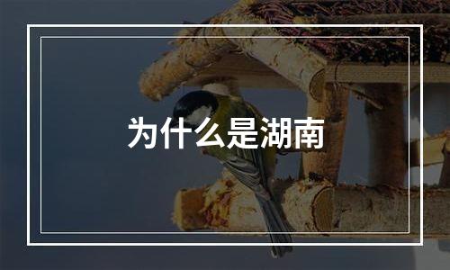 为什么是湖南