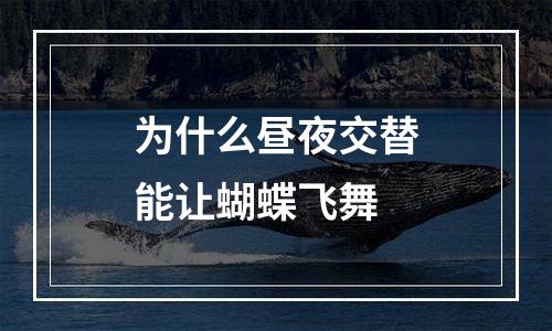 为什么昼夜交替能让蝴蝶飞舞