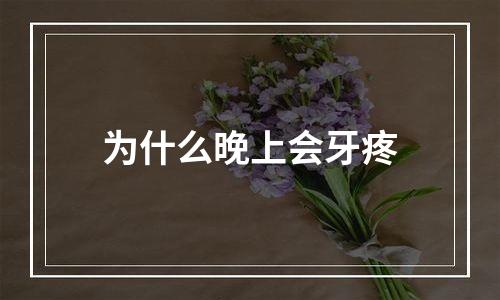 为什么晚上会牙疼