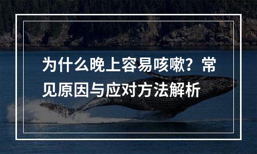为什么晚上容易咳嗽？常见原因与应对方法解析