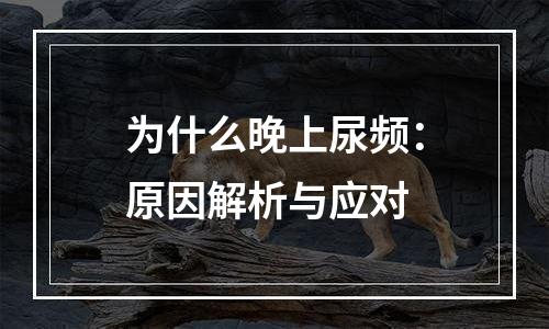 为什么晚上尿频：原因解析与应对