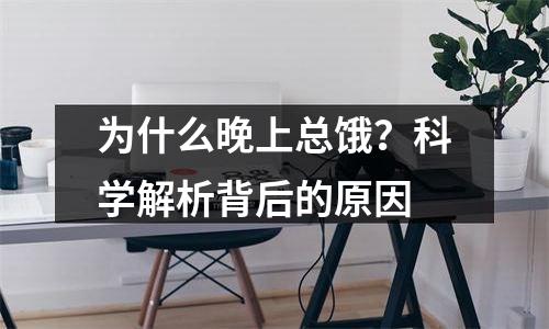 为什么晚上总饿？科学解析背后的原因