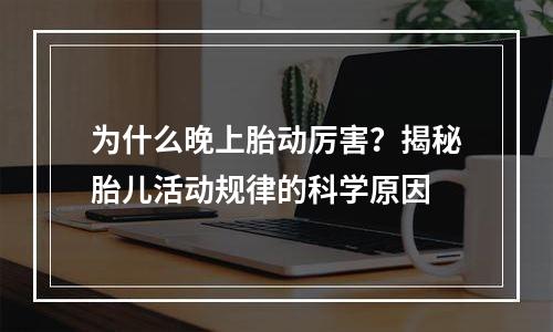 为什么晚上胎动厉害？揭秘胎儿活动规律的科学原因