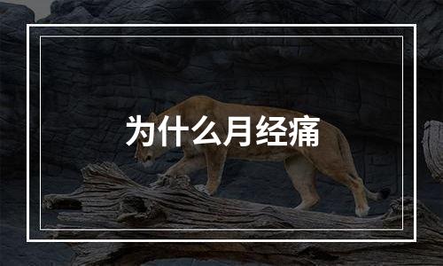 为什么月经痛