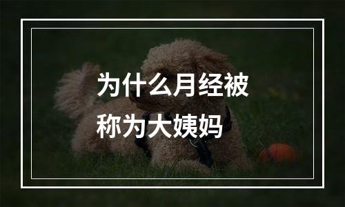为什么月经被称为大姨妈
