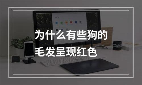 为什么有些狗的毛发呈现红色