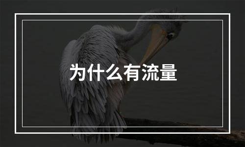 为什么有流量