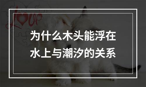 为什么木头能浮在水上与潮汐的关系