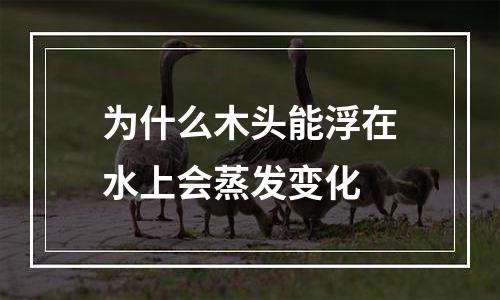 为什么木头能浮在水上会蒸发变化