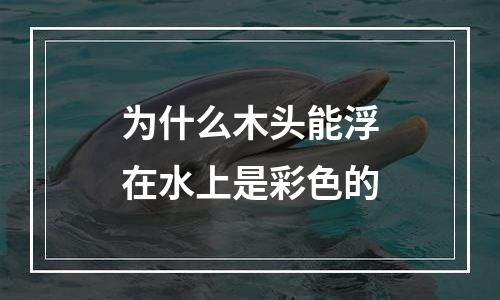 为什么木头能浮在水上是彩色的