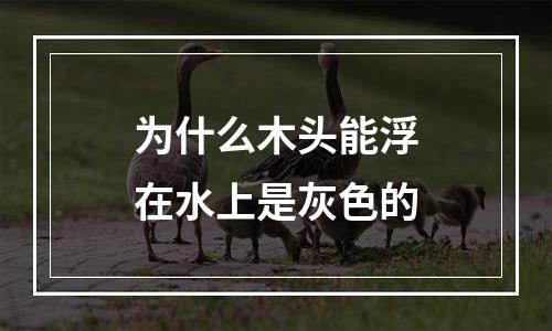 为什么木头能浮在水上是灰色的