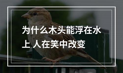 为什么木头能浮在水上 人在笑中改变