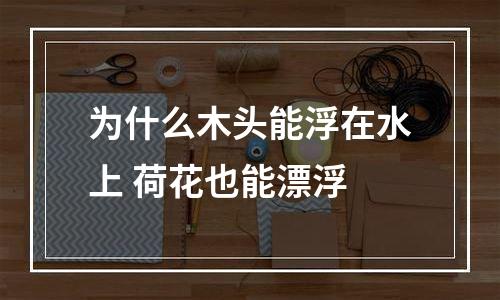为什么木头能浮在水上 荷花也能漂浮