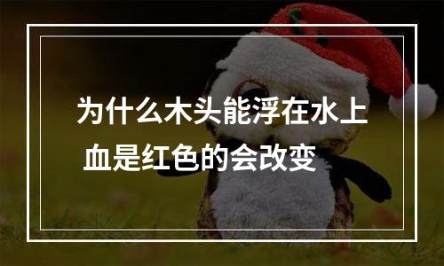 为什么木头能浮在水上 血是红色的会改变