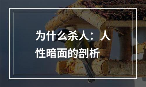 为什么杀人：人性暗面的剖析