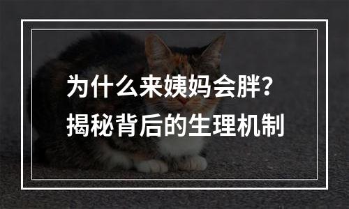 为什么来姨妈会胖？揭秘背后的生理机制
