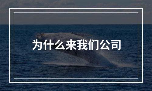 为什么来我们公司