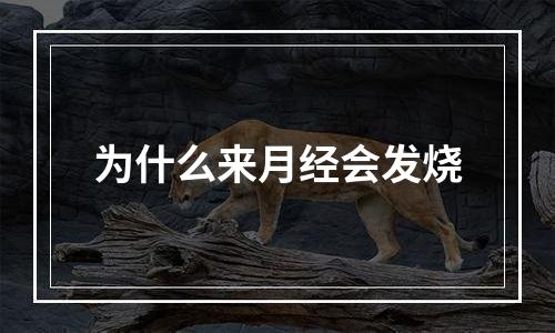 为什么来月经会发烧