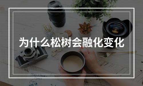为什么松树会融化变化