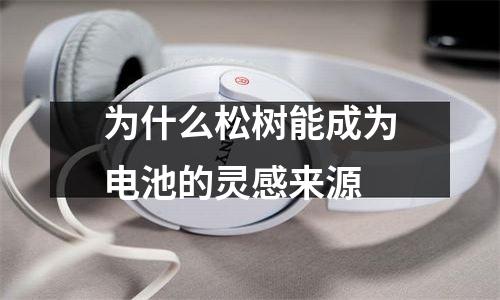 为什么松树能成为电池的灵感来源