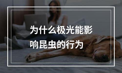 为什么极光能影响昆虫的行为