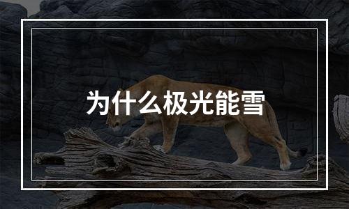 为什么极光能雪
