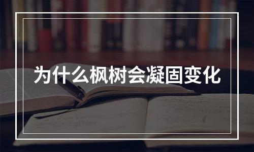 为什么枫树会凝固变化