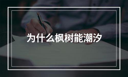 为什么枫树能潮汐