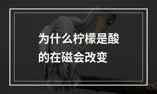 为什么柠檬是酸的在磁会改变