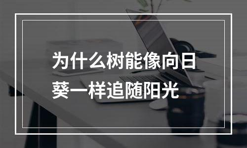 为什么树能像向日葵一样追随阳光