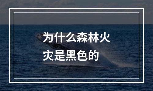 为什么森林火灾是黑色的