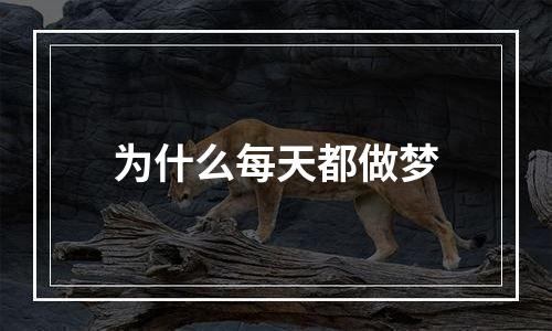 为什么每天都做梦
