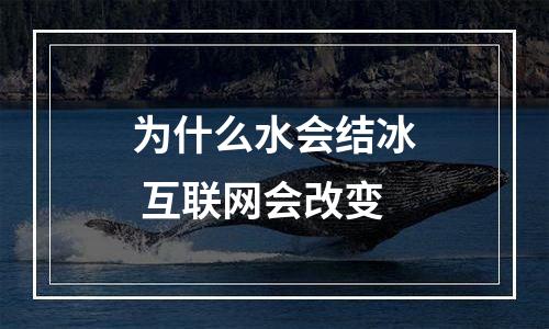 为什么水会结冰 互联网会改变