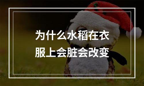 为什么水稻在衣服上会脏会改变