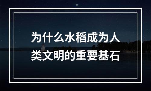 为什么水稻成为人类文明的重要基石