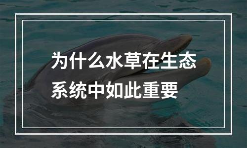为什么水草在生态系统中如此重要