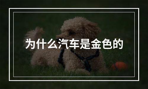 为什么汽车是金色的