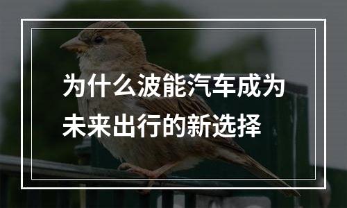 为什么波能汽车成为未来出行的新选择